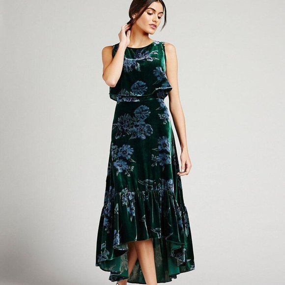 Eva Franco Anthropologie forest green velvet Floral maxi dress Special Occasion - Picture 2 of 10